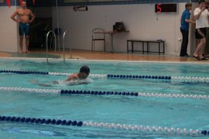 Рождественский Кубок - Сеть бассейнов клуба «Мэвис-1» обучение плаванию взрослых