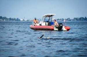 Onego swim - Сеть бассейнов клуба «Мэвис-1» обучение плаванию взрослых