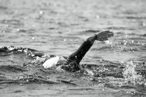 Заплыв СПб-Кронштадт - Сеть бассейнов клуба «Мэвис-1» обучение плаванию взрослых