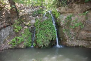 ГРЕЦИЯ 2010 ГОД — ОСТРОВ РОДОС - Школа плавания для взрослых MEVIS. Сеть бассейнов