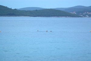 ХОРВАТИЯ 2008 ГОД — ПОЛУОСТРОВ ПЕЛЕШАЦ - Школа плавания для взрослых MEVIS. Сеть бассейнов