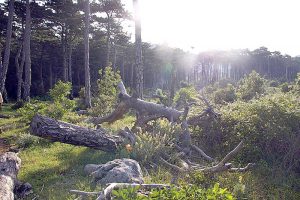 ХОРВАТИЯ 2008 ГОД — ПОЛУОСТРОВ ПЕЛЕШАЦ - Школа плавания для взрослых MEVIS. Сеть бассейнов