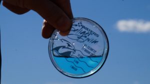 SilverSeligerSwim - Сеть бассейнов клуба «Мэвис-1» обучение плаванию взрослых