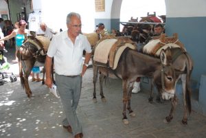 ГРЕЦИЯ 2010 ГОД — ОСТРОВ РОДОС - Школа плавания для взрослых MEVIS. Сеть бассейнов