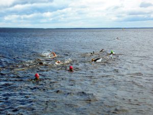 Onego swim - Сеть бассейнов клуба «Мэвис-1» обучение плаванию взрослых